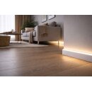 Sockelleiste LED 19x70 inkl Diffuser in RAL 9016