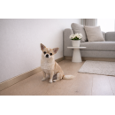 Sockelleiste Bassen 16x58 Champagner rechteckig