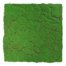 Wandpaneel Stokes 52x52 Design Wald Moos grün