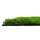 Wandpaneel Clare 52x52 Design Waldboden grün