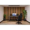 Sockelleiste Hemeln 16x60 Holz Foliert schwarz