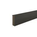 Hartschaumleiste Ennis 12x60 Titan Dichtlippe